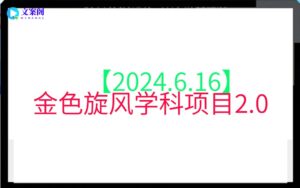 【2024.6.16】金色旋风学科项目2.0
