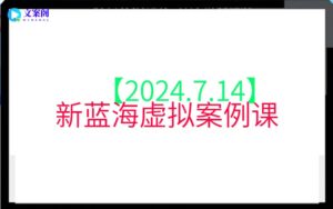 【2024.7.14】新蓝海虚拟案例课