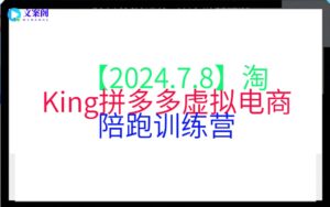 【2024.7.8】淘King拼多多虚拟电商陪跑训练营