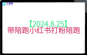 【2024.8.25】带陪跑小红书打粉陪跑