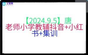 【2024.9.5】唐老师小学教辅抖音+小红书+集训