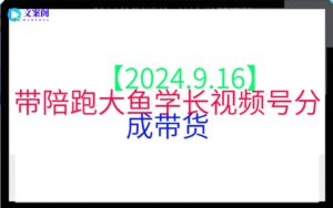 【2024.9.16】带陪跑大鱼学长视频号分成带货