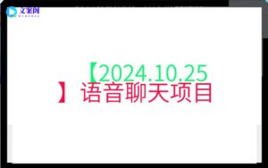【2024.10.25】语音聊天项目