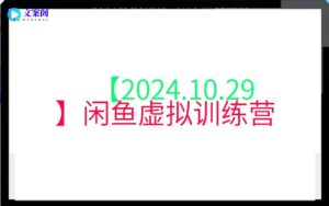 【2024.10.29】闲鱼虚拟训练营
