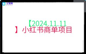 【2024.11.11】小红书商单项目