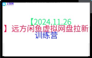 【2024.11.26】远方闲鱼虚拟网盘拉新训练营
