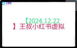 【2024.12.22】王叔小红书虚拟