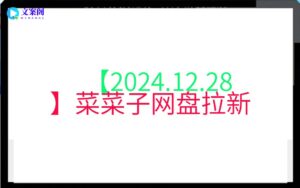 【2024.12.28】菜菜子网盘拉新