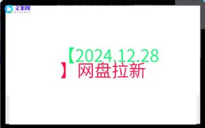 【2024.12.28】网盘拉新
