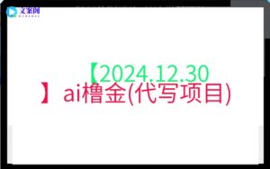 【2024.12.30】ai橹金(代写项目)