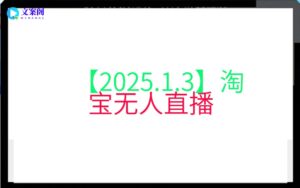 【2025.1.3】淘宝无人直播
