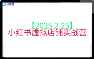 【2025.2.25】小红书虚拟店铺实战营