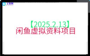 【2025.2.13】闲鱼虚拟资料项目