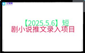【2025.5.6】短剧小说推文录入项目
