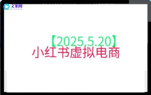 【2025.5.20】小红书虚拟电商