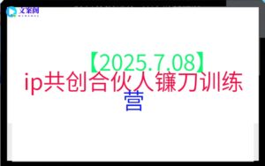 【2025.7.08】ip共创私域项目合伙人
